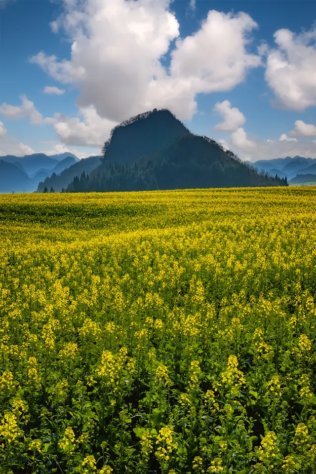 The Yellow Sea - Under