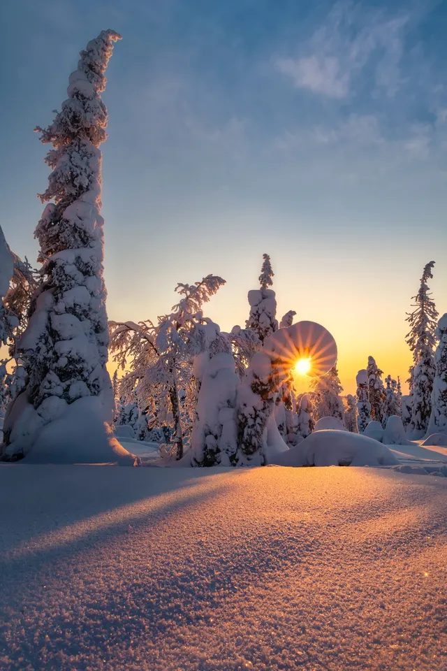 Frozen Fantazy