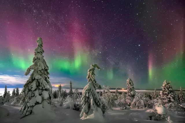 Aurora Dreams
