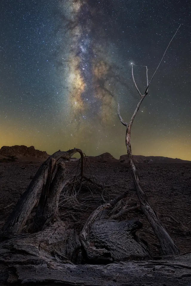I am Groot
