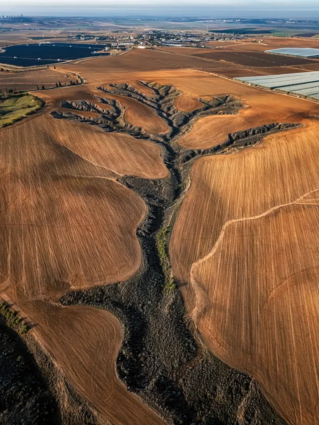 Veins of the Earth