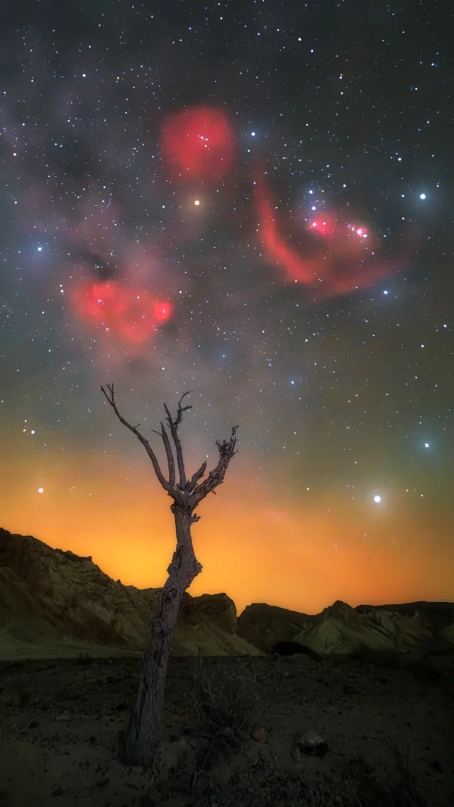 Distant Sky