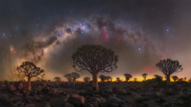 Night Reverie