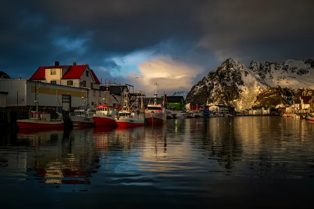 Evening Harbor