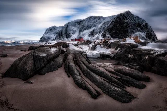 Stone Tentacles