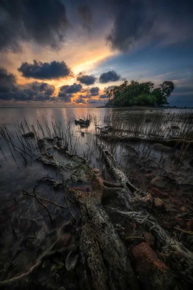 Roots of the Ocean
