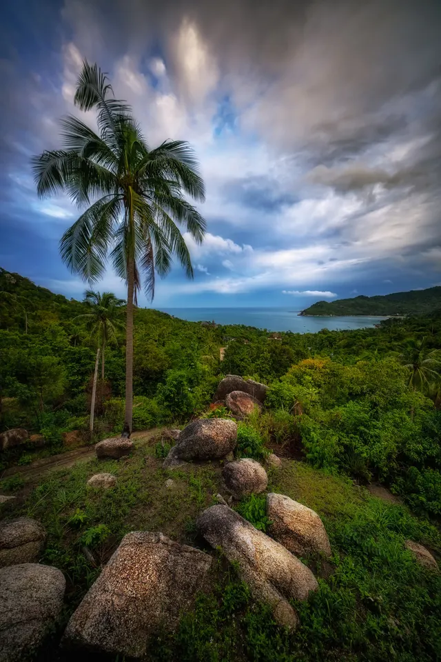 After the Storm